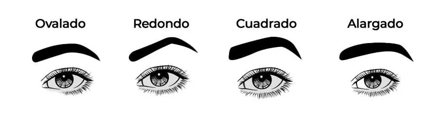 Cejas Perfectas: Diseña y Maquilla las Tuyas con Éxito 4 cejas