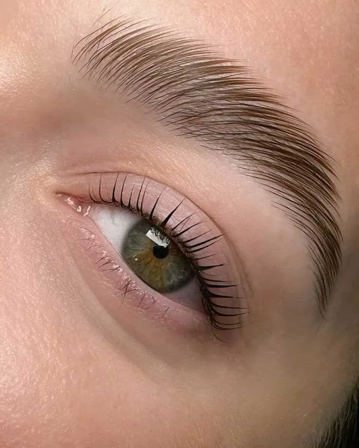 Cejas Perfectas: Diseña y Maquilla las Tuyas con Éxito 16 laminadas
